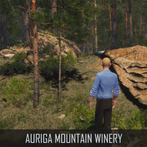 auriga mountain winery